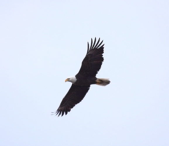 2019 05 08 HTP 90166e